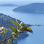 Rita' S House Skopelos