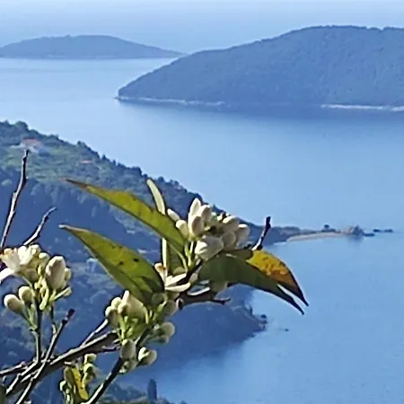 Rita' S House Skopelos