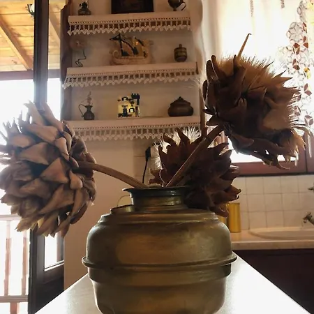 Rita' S House Skopelos Holiday home Glossa