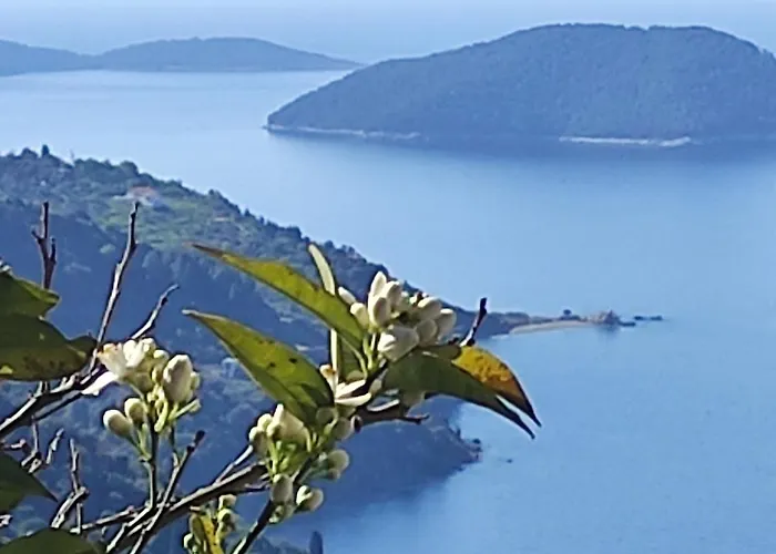 Rita' S House Skopelos